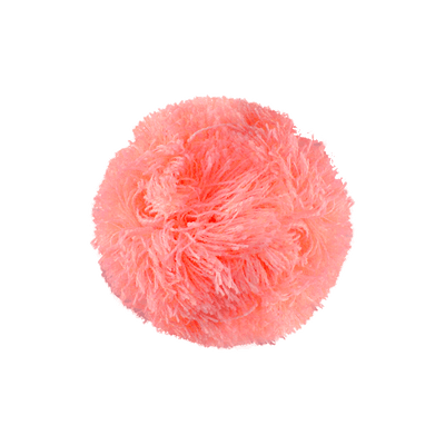 Pompon Coral